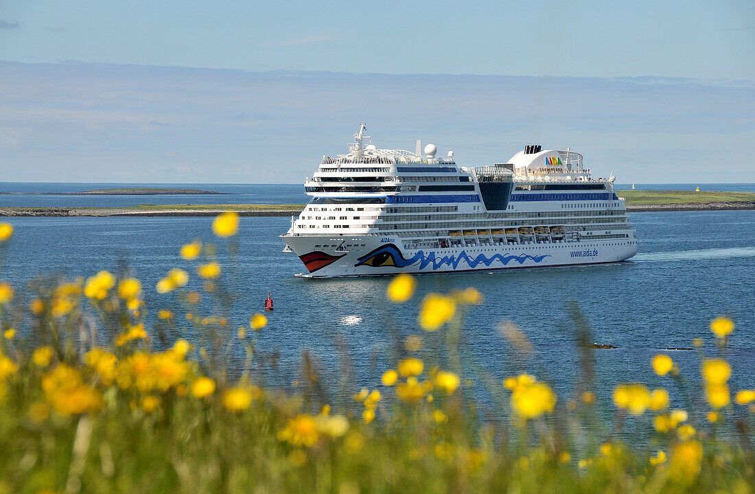 Kreuzfahrtschiff AIDA Mar vor der Küste, Reykjavik, Island, Europa