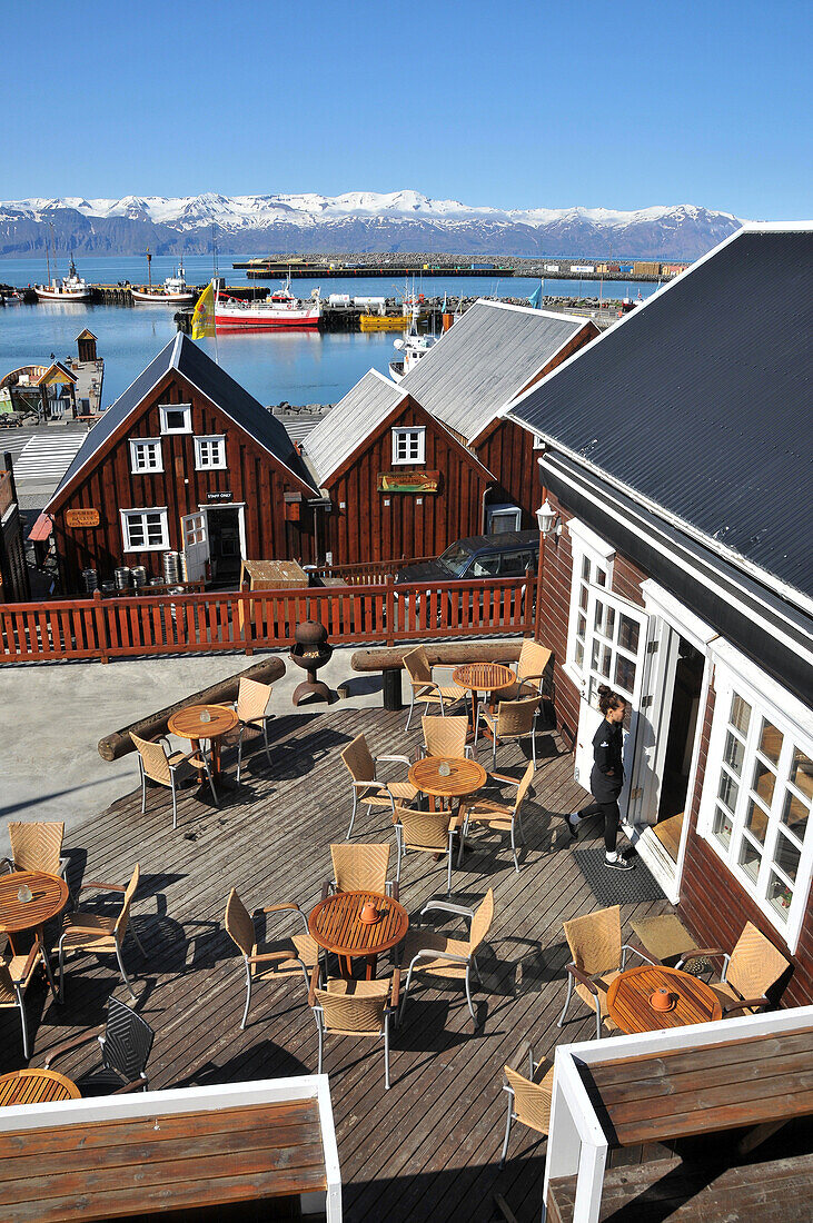 Blick auf Café und Häuser am Hafen, Husavik, Nord Island, Europa