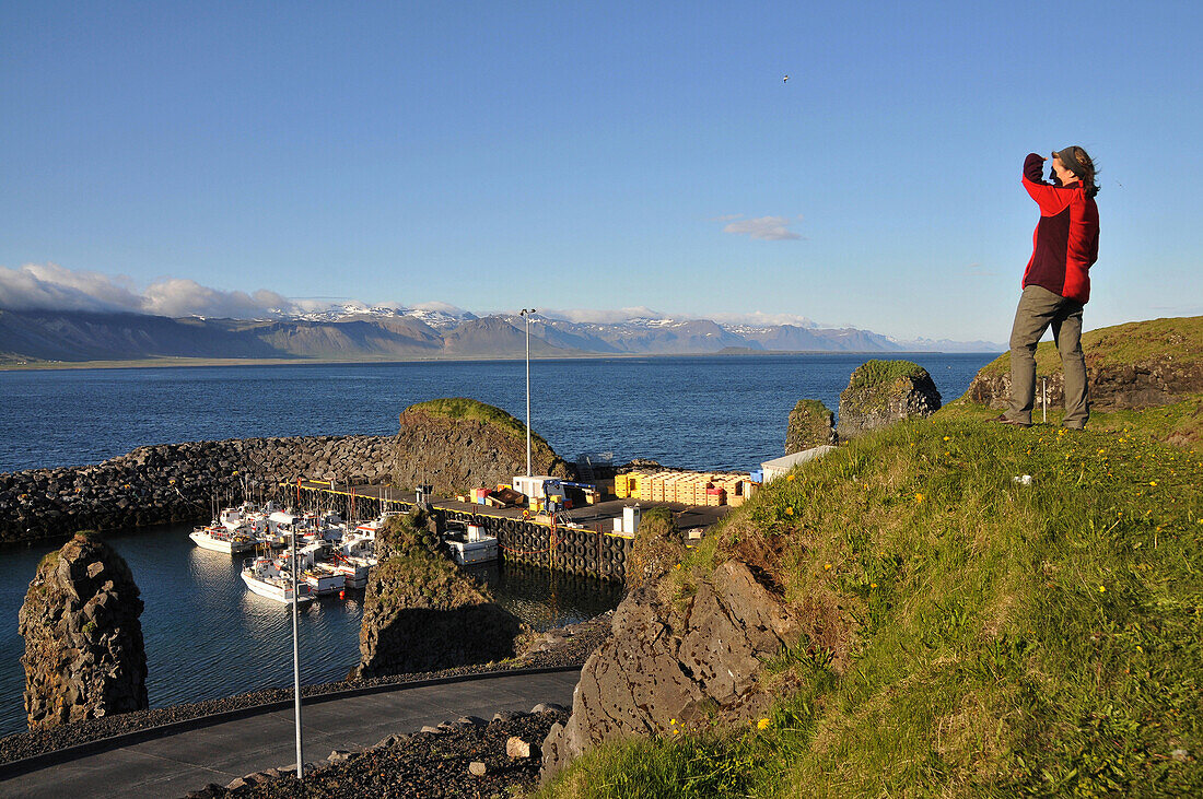 Harbour, Arnarstapi, Snaefellsnes peninsula, West Iceland, Iceland