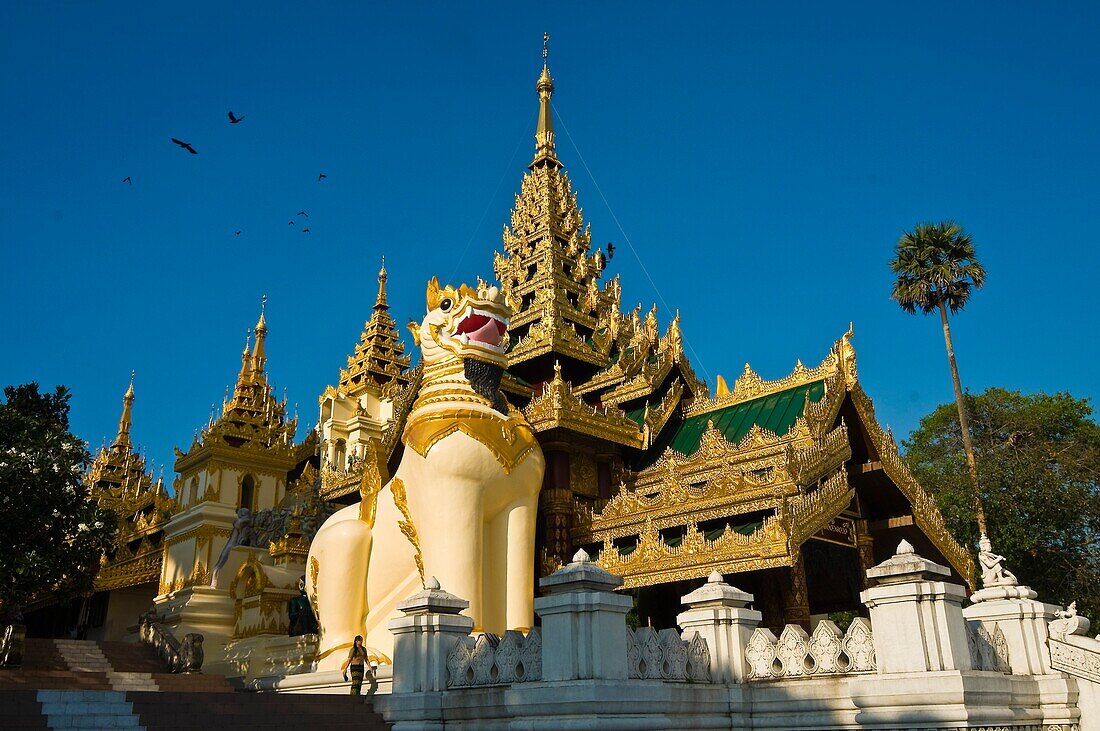 Myanmar (Burma), Yangon State, Yangon, Kandawgyi Quarter, People Park, Shwedagon Paya avenue, Shwedagon Pagoda, main south entrance kept by two chinthe (half lion, half-griffin) of 9 meters high