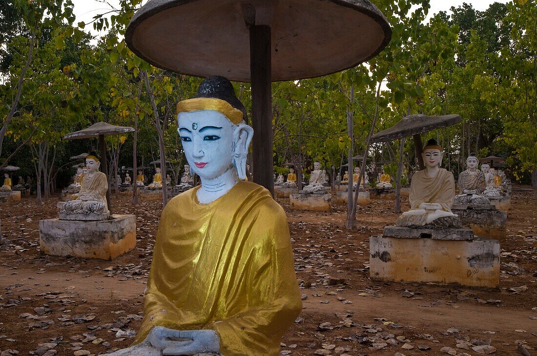 Myanmar (Burma), Sagaing State, Monywa, Boddhitataung monastery (or 1000 Buddha) sheltering 10 000 banyan trees each of them possessing its Buddha