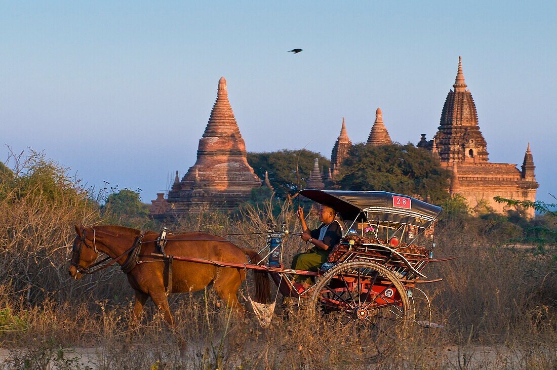 Myanmar (Burma), Mandalay State, Bagan (Pagan), Old Bagan, Thatbyinnyu Temple (Pahto Thatbyinnyu, middle 12th), tourists can discover the incredible richness of Bagan in a cart driven by horse