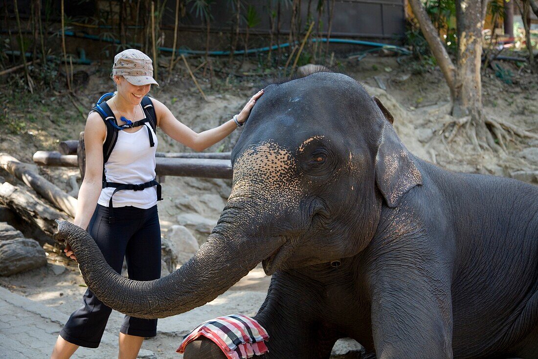 Thailand,Chiang Mai,Elephant Camp,Female Tourist Posing with Elephant