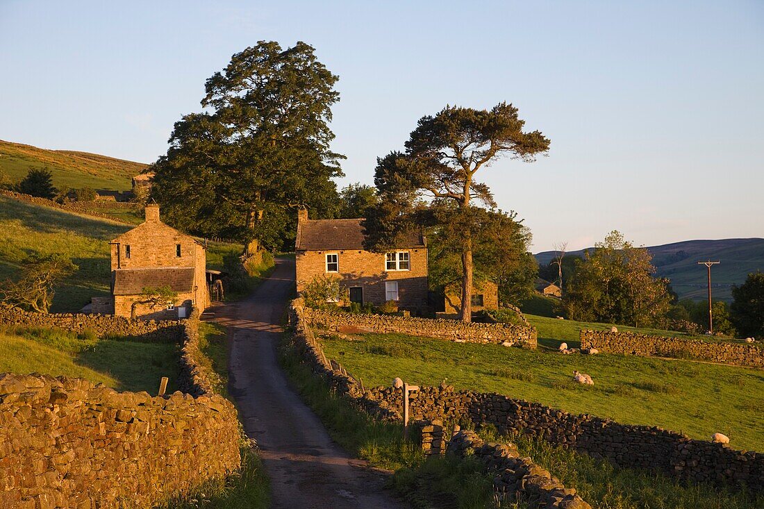 England,Yorkshire,Yorkshire Dales,Swaledale,Country Road and Houses