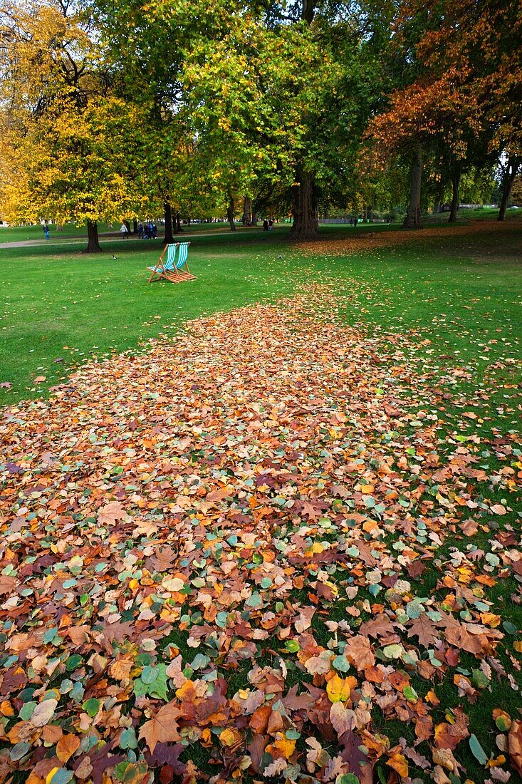 England,London,St.James Park,Autumn Leaves