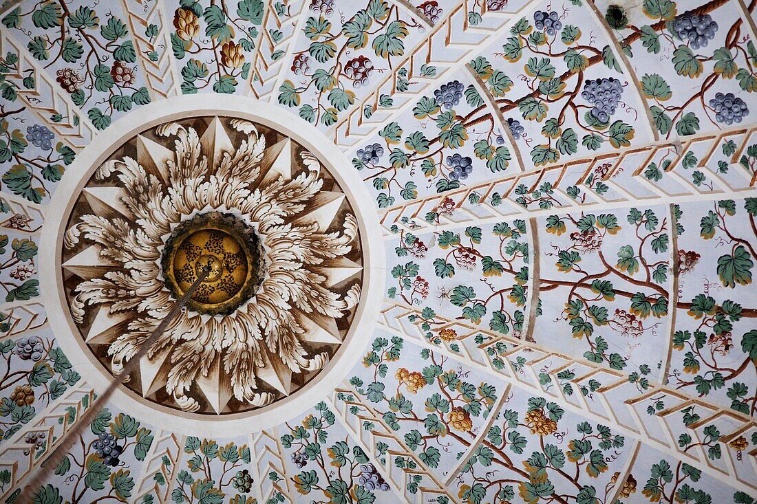 Turkey,Istanbul,Topkapi Palace Museum,The Harem,Ceiling Decoration in the Queen Mother Apartments