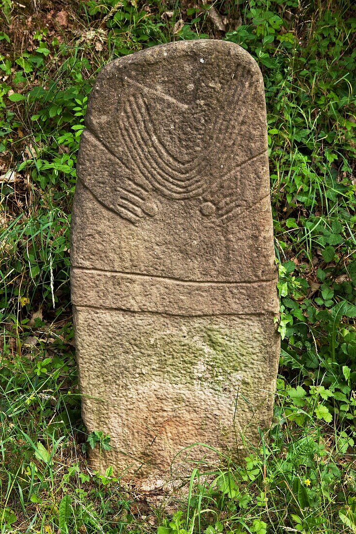 France, Aveyron, Menhir statue in the Rougiers de Camares