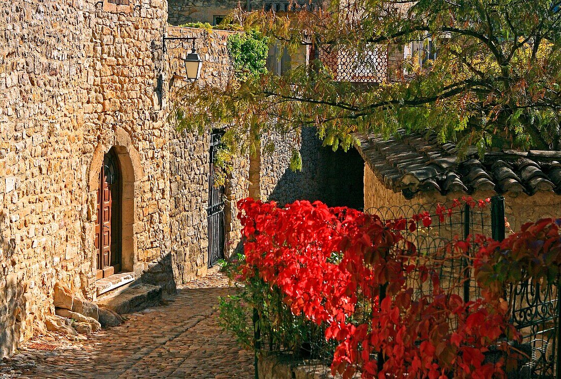 France, Gard (30), La Roque sur Cèze, labeled The Most Beautiful Villages of France, a picturesque alley, white stone houses, vegetation autumn