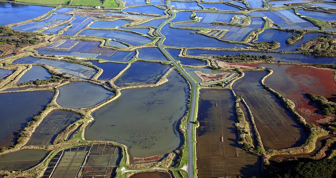 France, Loire-Atlantique (44), salt marshes, the Brière Regional Natural Park (aerial view)