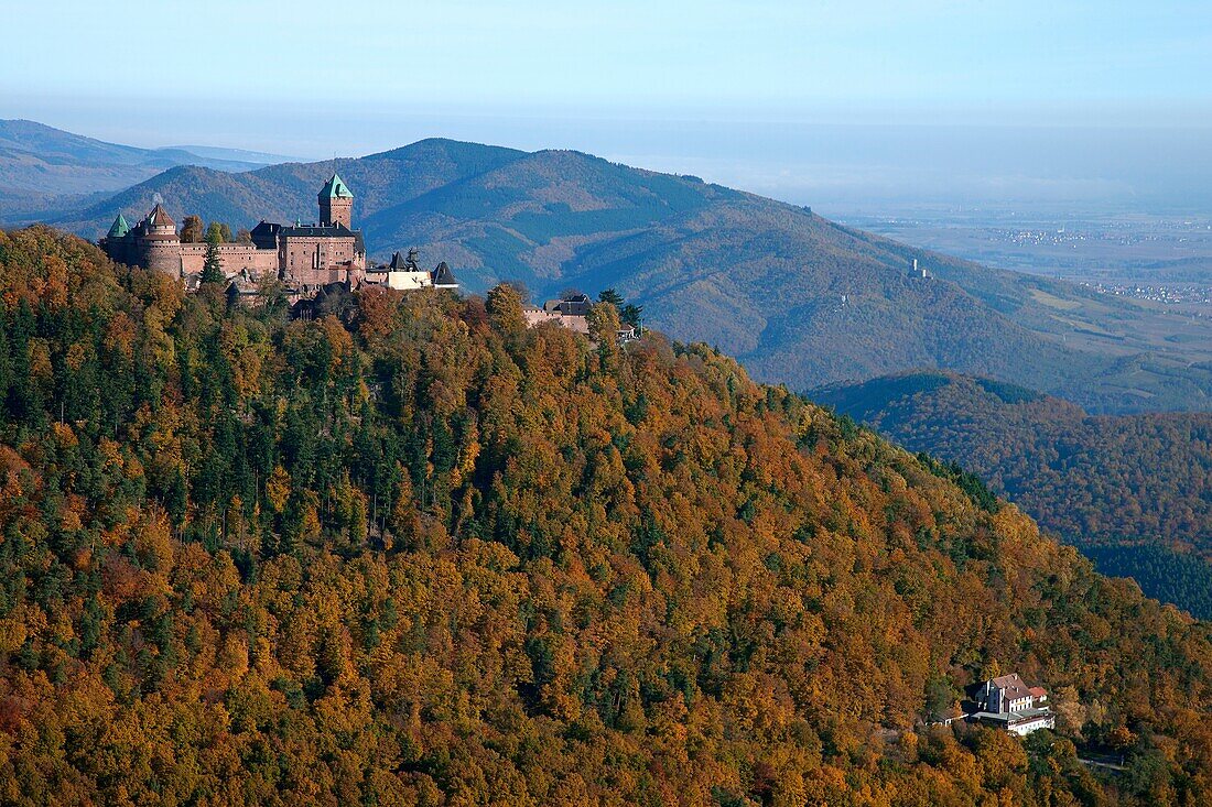 France, Bas-Rhin (67), the medieval castle (XI century) Upper Koenigsbourg, listed building, located on the town of Orschwiller, at 757 meters, (aerial view)