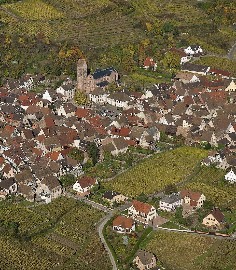 France, Haut-Rhin (68), Gueberschwihr, picturesque village of Alsace, situated on the Alsace wine route, autumn landscape, (aerial view)