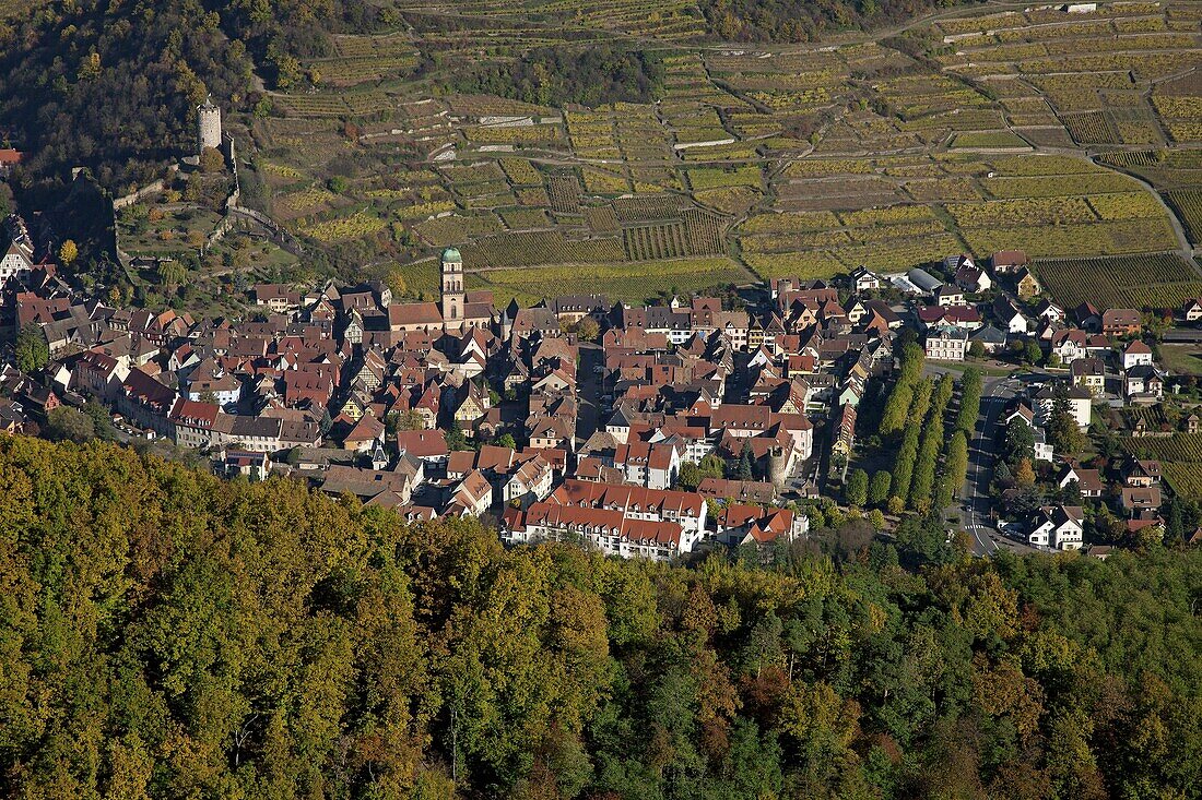 France, Haut-Rhin (68), Kaysersberg, picturesque village of Alsace, the wine route in the autumn, (aerial view)