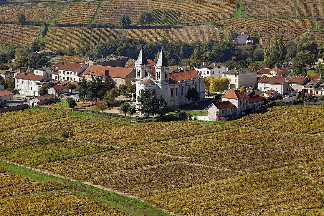 France, Rhône (69), Régnié-Durette, Village of Grand Cru Beaujolais, vineyard in autumn, (aerial view)