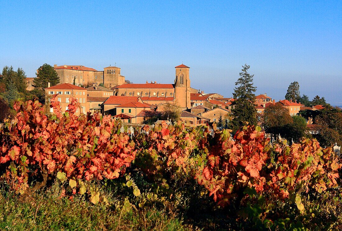 France, Rhône (69), the village of Theizé seen from Beaujolais, in the autumn, on the road of golden stone, on top of the village stands the castle Rochebonne