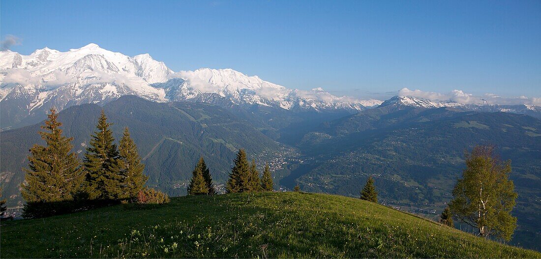 France, Haute-Savoie (74), Mont Blanc (4807 m), scenery from the cottages of Varan in Passy, at the bottom of the valley Condamines