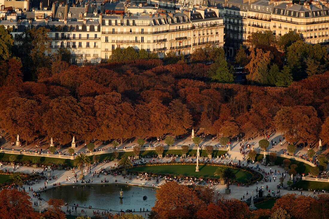 Aerial view of the Luxembourg garden in Paris Paris. France.