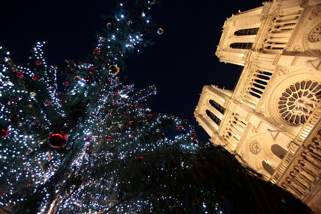 Notre-Dame de Paris cathedral. Christmas tree. Paris. France.