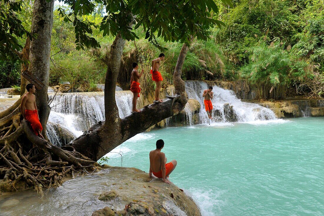 Asia, Southeast Asia, Laos, Monks jumping in the waters of Kuang Si Falls