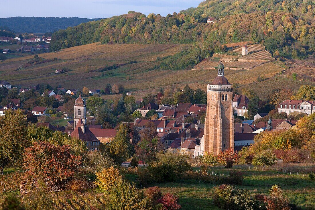 France, Jura (39), Arbois wine and tourist town of Jura, historical center, view from the vineyard in autumn