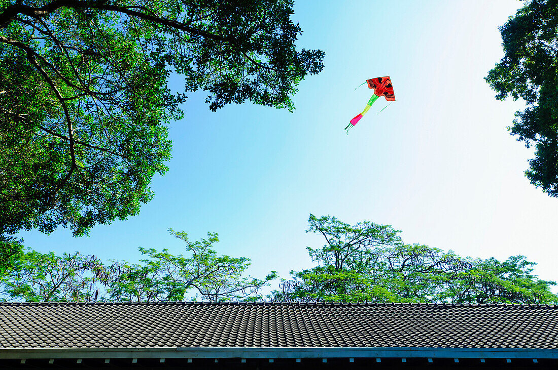 Colorful kite flying over traditional Chinese roof. Long tail and decorative shape., A kite in the air