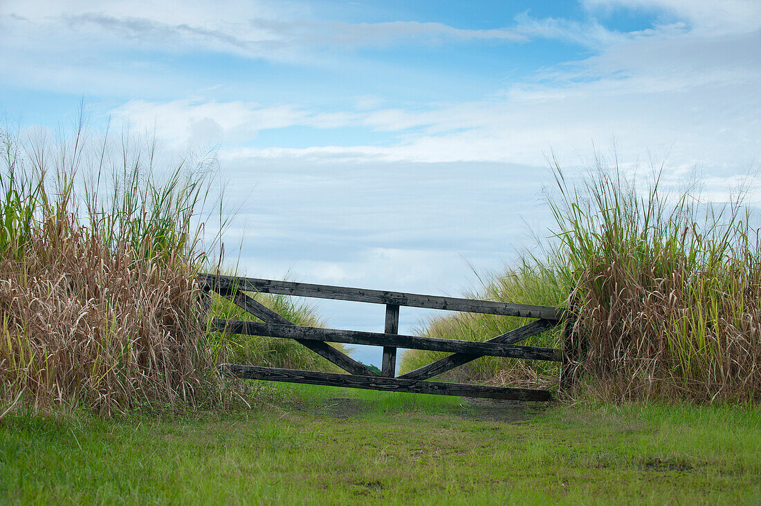 Wooden gate blocking the way down a dirt road on the Big Island of Hawaii, Wooden gate on the Big Island of Hawaii