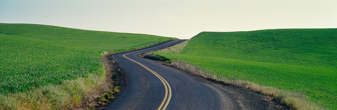 A quiet country road passing through a field of wheat, Spokane County, Washington, Narrow 2 lane road in Spokane County