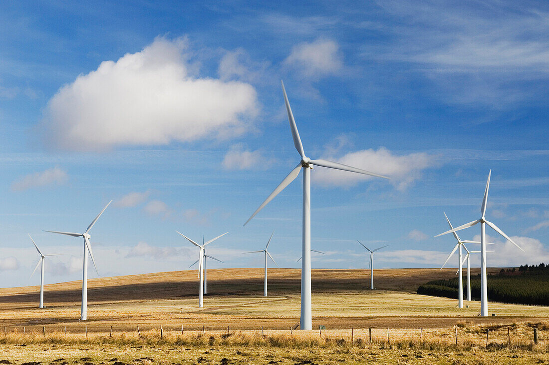 Wind turbines at Dun Law wind farm, near Edinburgh, Scotland, UK., Wind farm, Dun Law, near Edinburgh, Scotland.