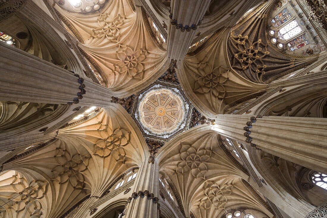 Interior New Cathedral, dome and vaults, Salamanca, Castilla y león, Spain