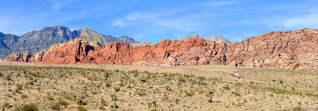 Red Rock Canyon Conservation Area Las Vegas Nevada