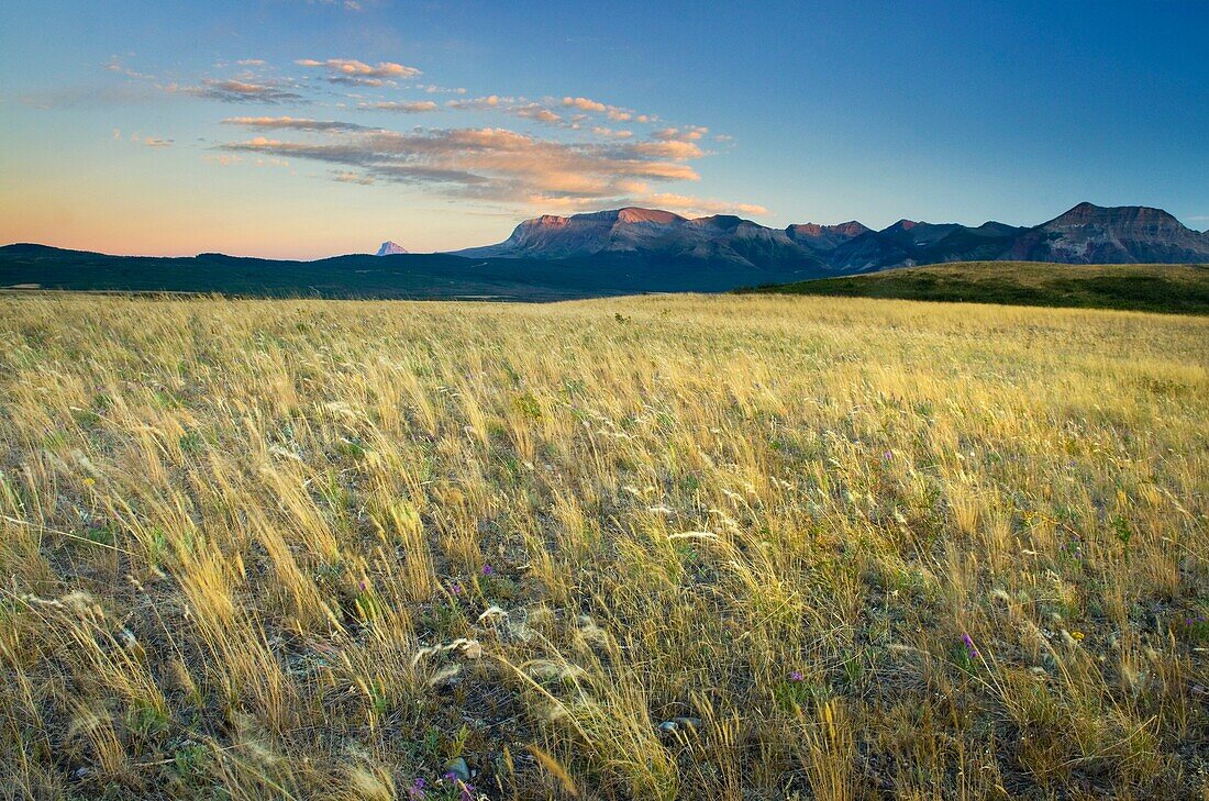 Great Plains prairie meeting the Rocky Mountains at Waterton Lakes National Park Alberta Canada