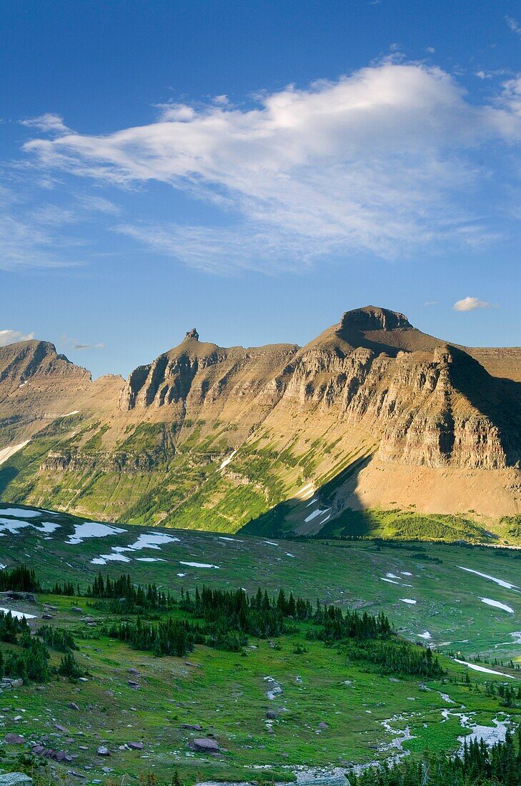 Alpine meadows at Logan Pass with the Garden Wall in the distance, Glacier National Park Montana USA