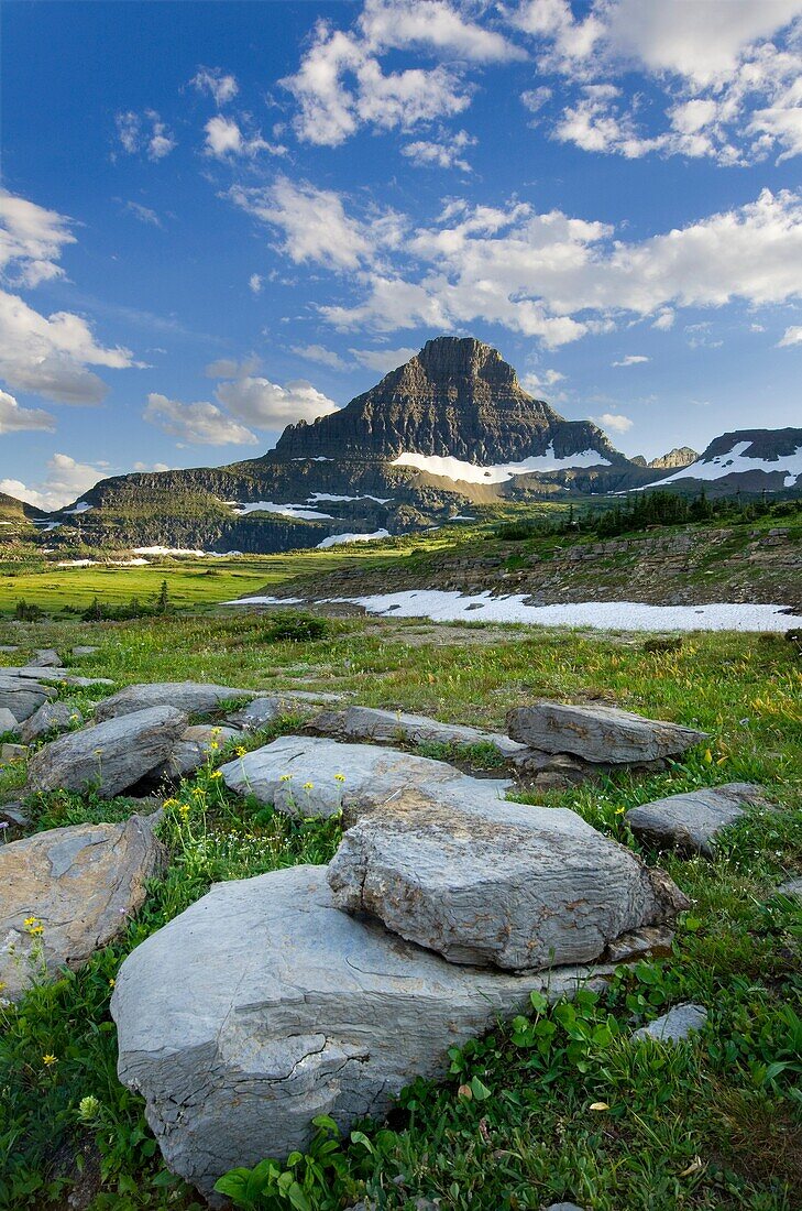 Alpine meadows at Logan Pass, Mount Reynolds is in the distance, Glacier National Park Montana USA