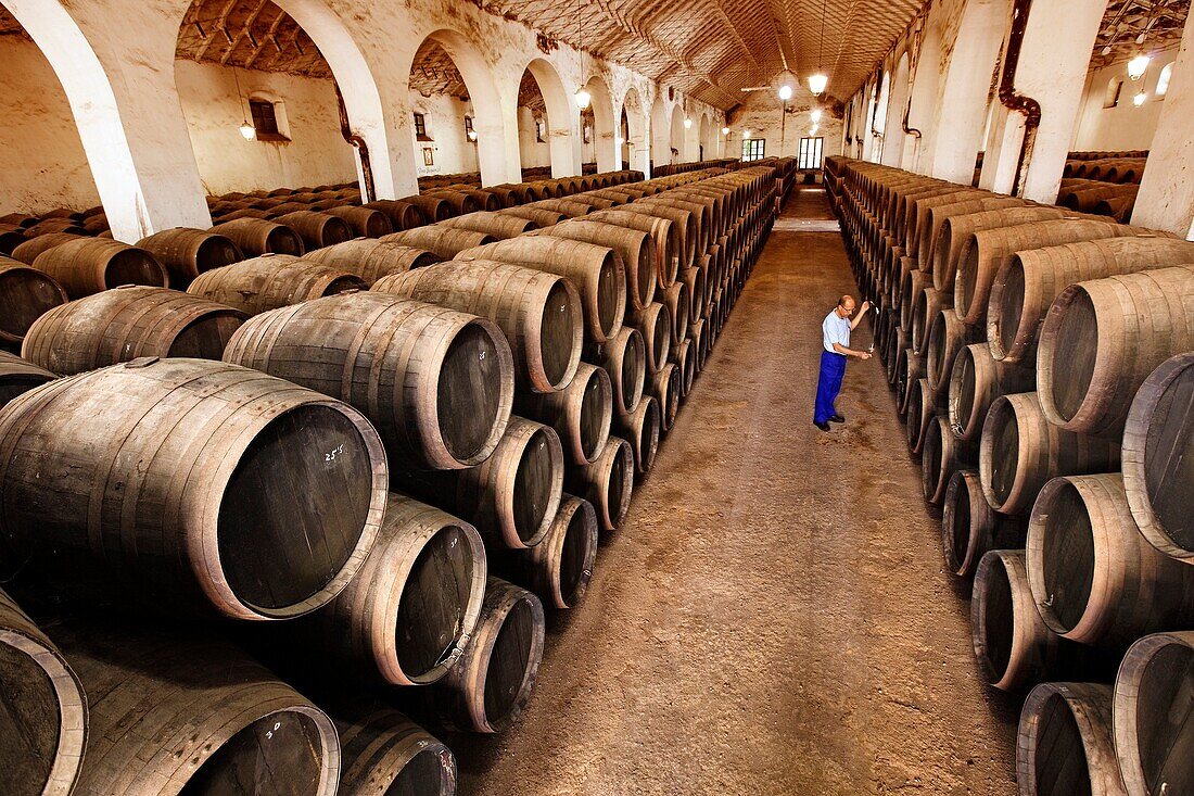 Pérez Barquero Wine Cellars, Montilla, Córdoba Province, Andalusia, Spain.