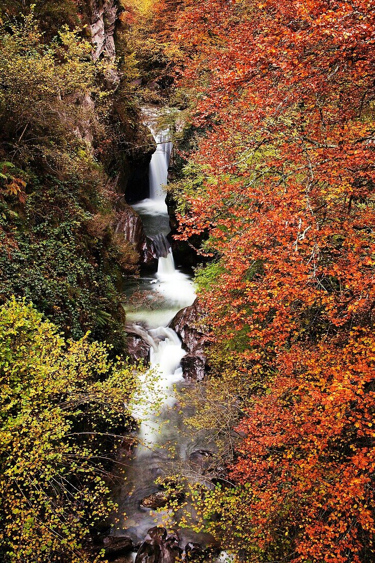 Autumn Landscape waterfall Natural Park Saja Nansa, Cantabria, Spain.