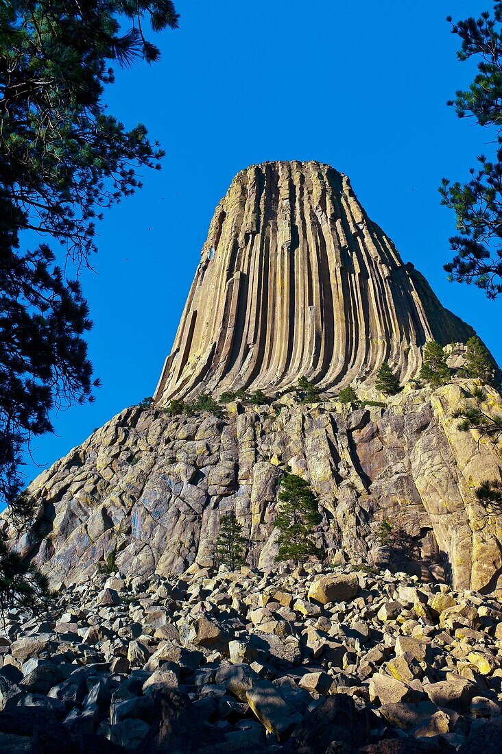 The 867 foot tall Devils Tower a granite monolith which is a sacred site to American Indians, Devils Tower National Monument, Wyoming USA