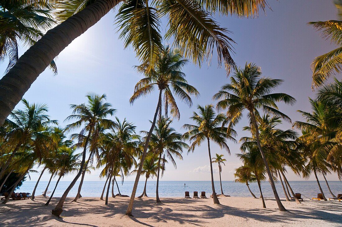 The Moorings Village Pearl of Florida Keys resort, Islamorada Key, Florida Keys, Florida USA