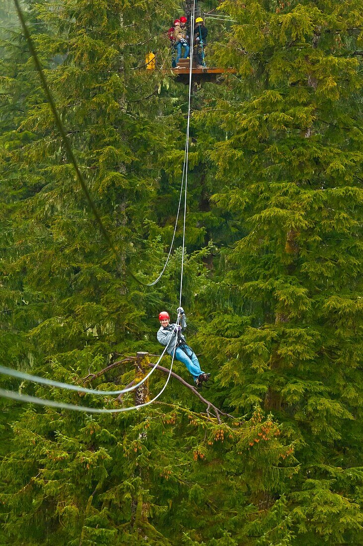 Zipline, Alaska Canopy Tours, near Ketchikan, Southeast Alaska USA