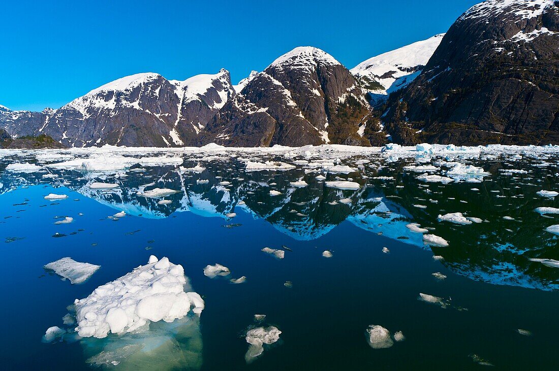 Icebergs and ice floes, LeConte Bay near LeConte Glacier, between Petersburg and Wrangell, southeast Alaska USA