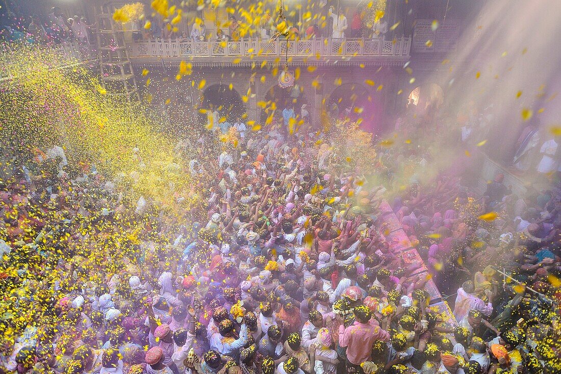 India, Uttar Pradesh, Holi festival, Colour and spring festival celebrating the love between Krishna and Radha, Flower Holi