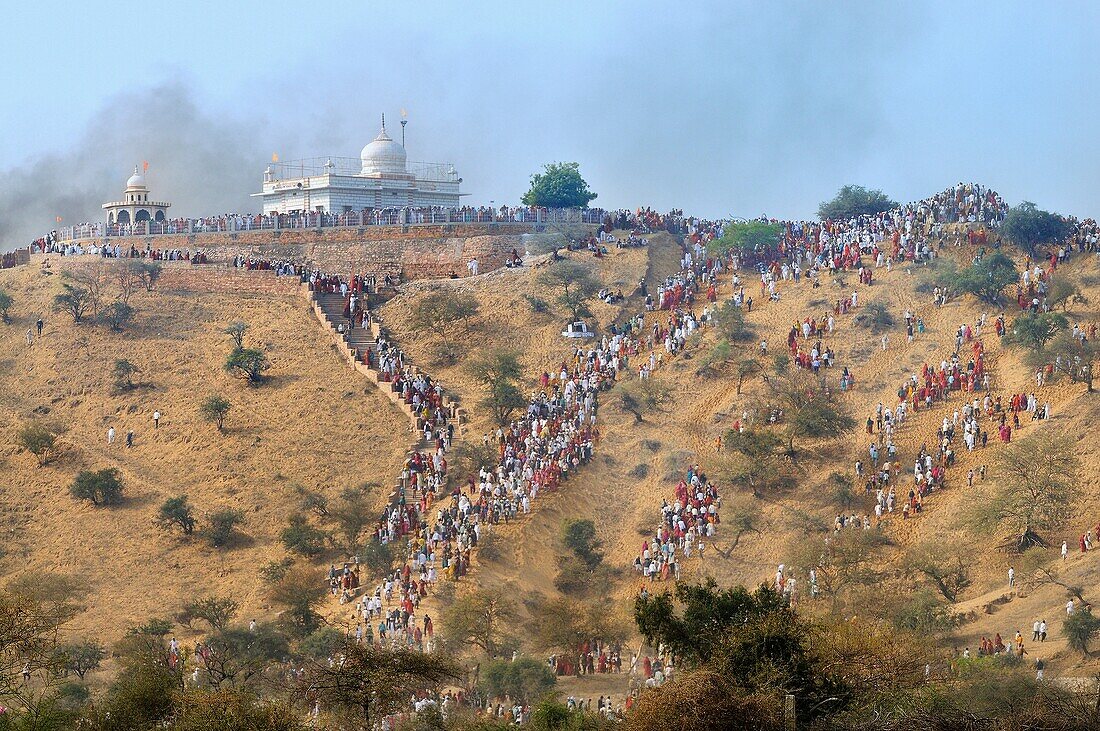 India, Rajasthan, Mukam surroundings, Jambeshwar festival, Bishnoi pilgrims climbing Samrathal dune