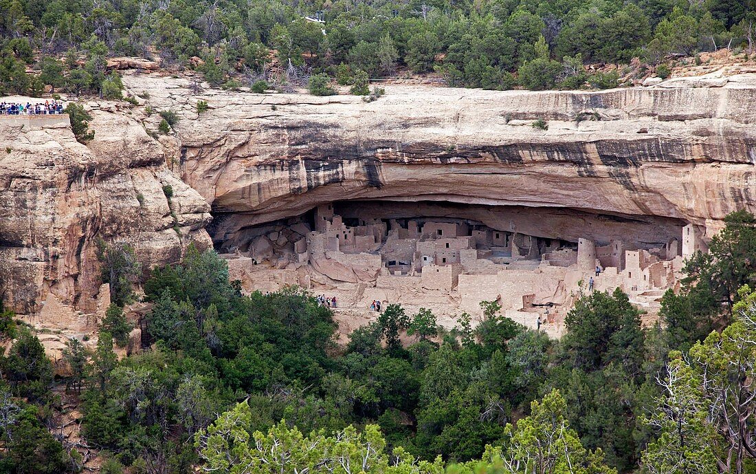 Cortez, Colorado - The Cliff Palace dwelling in Mesa Verde National Park  The park features cliff dwellings of ancestral Puebloans that are nearly a thousand years old