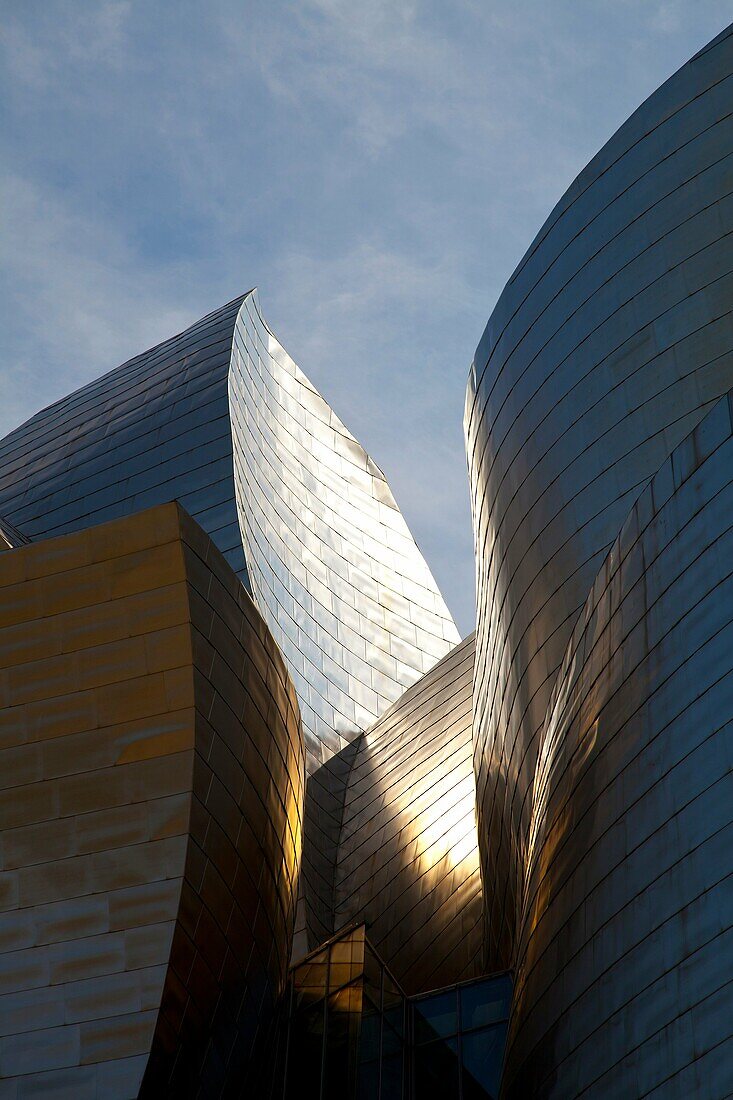 Guggenheim Museum, Bilbao, Biscay, Basque Country, Spain