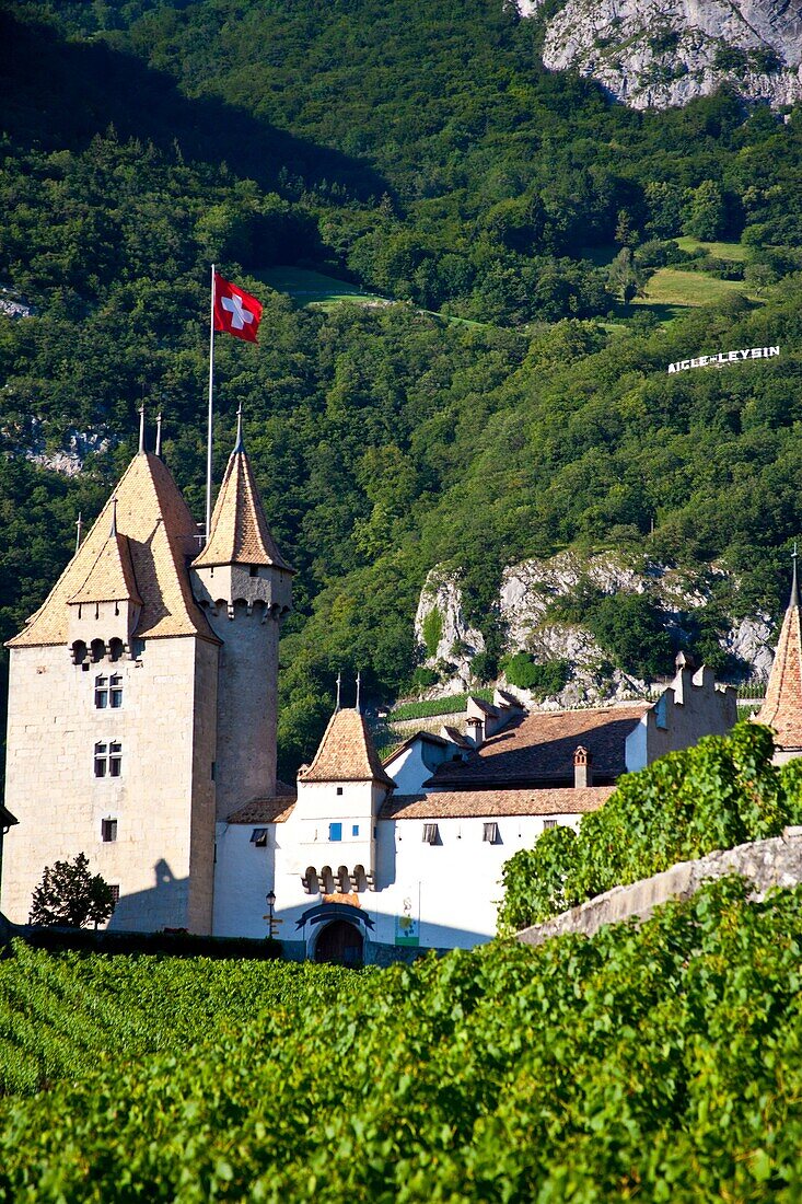 Chateau d´Aigle in the vineyards close to Lausanne, Kanton Waadt, Switzerland, Europe