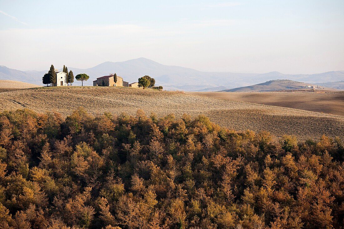 landscape, autumn, san quirico d´orcia, siena province, tuscany, italy, europe