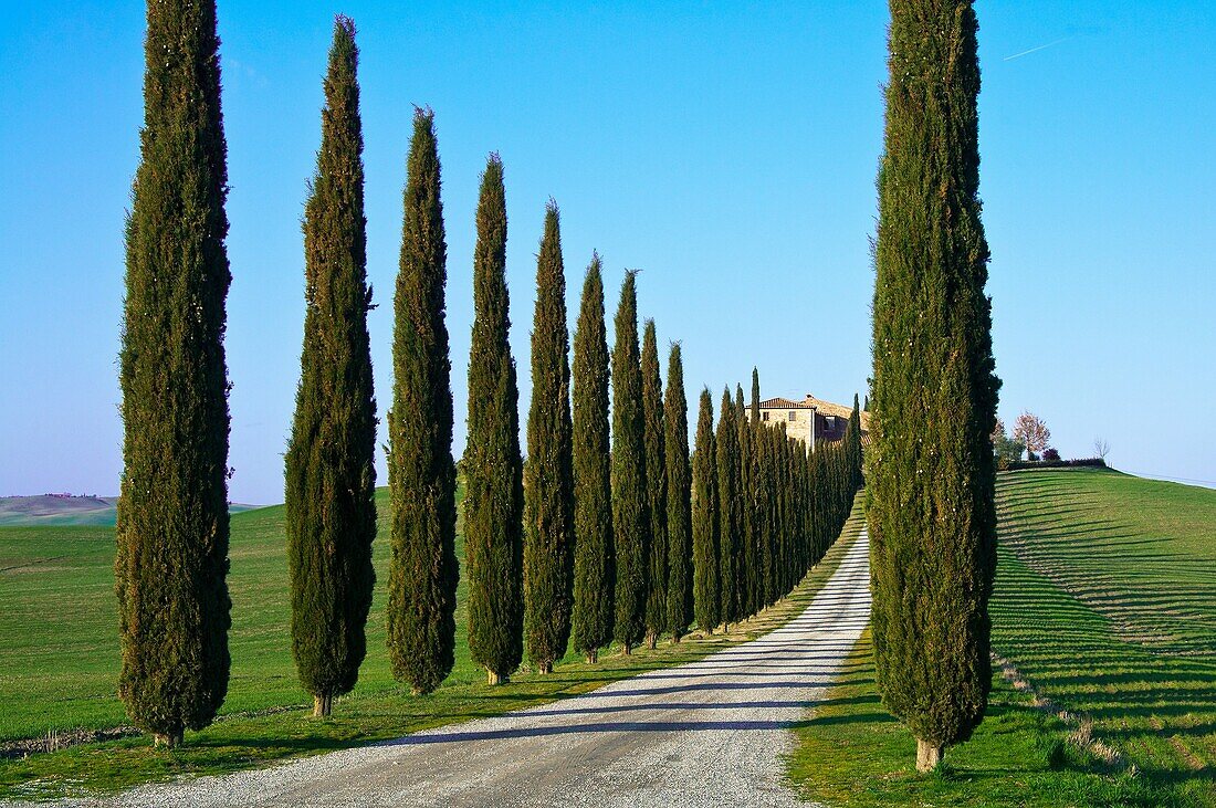 Val d´Orcia, Siena Province, Siena, Tuscany, Italy