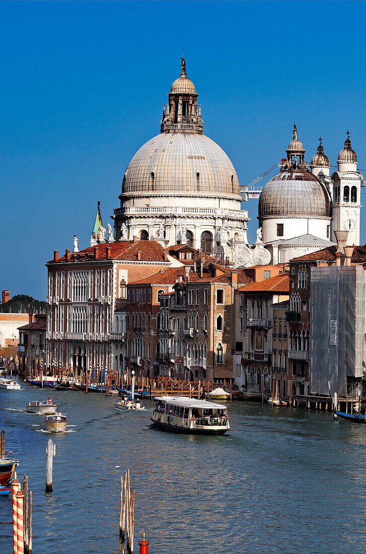 La Salute church from Accademia Bridge, Venice, Italy