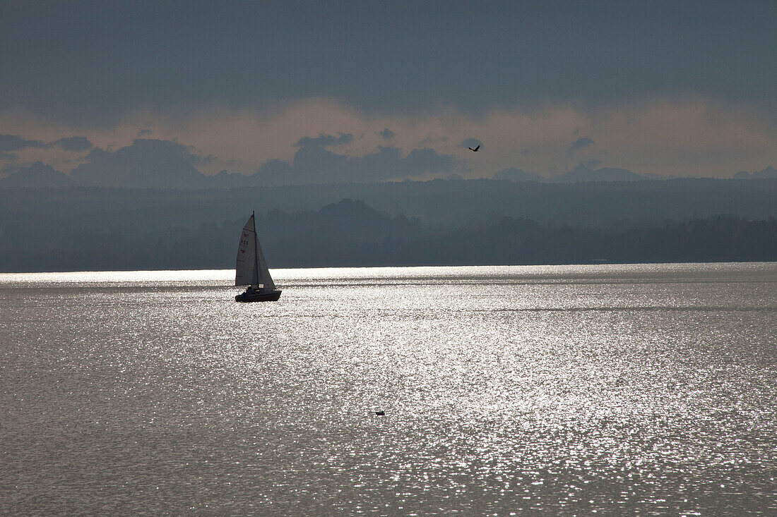 Sailing boat on the lake Ammersee, Upper Bavaria, Germany, Europe