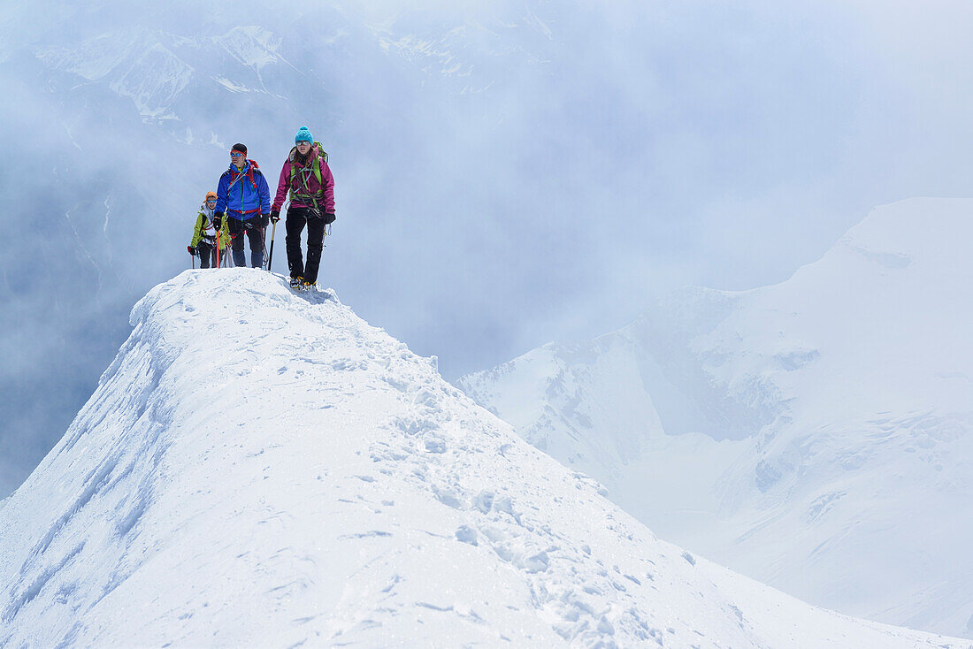 Drei Bergsteiger steigen über Firngrat zum Piz Palü auf, Graubünden, Schweiz