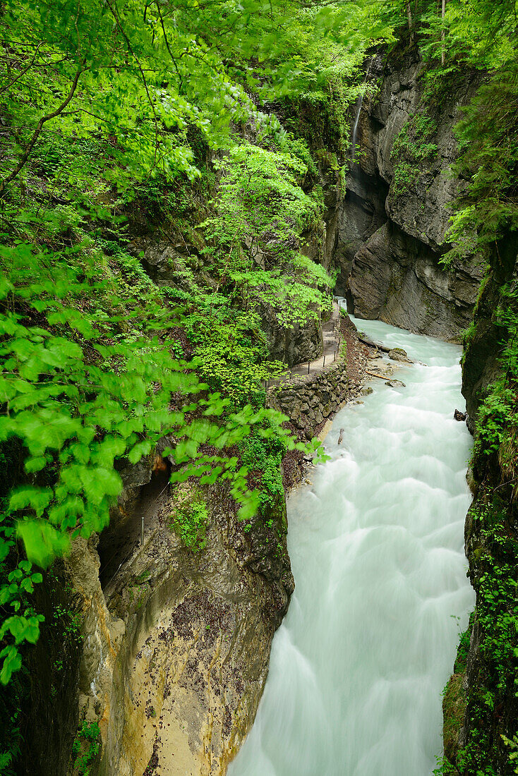 Gebirgsbach Partnach fließt durch Felsenklamm, Partnachklamm, Garmisch, Wettersteingebirge, Oberbayern, Bayern, Deutschland