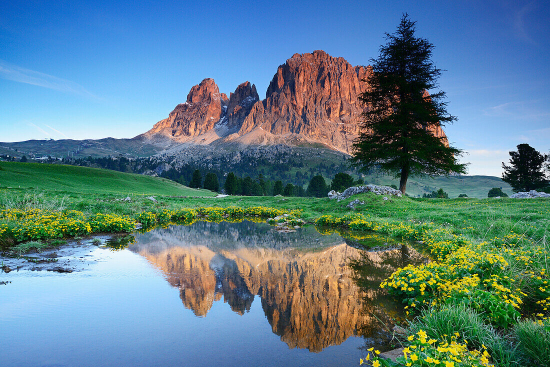 Langkofel spiegelt sich in Bergsee, Langkofel, Dolomiten, UNESCO Weltnaturerbe Dolomiten, Südtirol, Italien